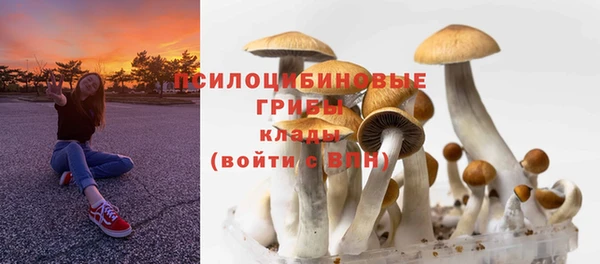 индика Нея