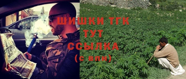 Альфа ПВП Арсеньев