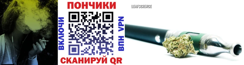 Бошки Шишки сатива  продажа наркотиков  Покровск 